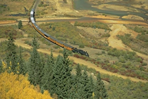 Colorado Prints: Narrow gauge steam railway in autumn