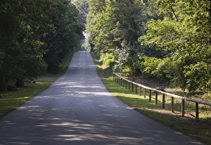 South Finistere Prints: Narrow road near Quimper, Southern Finistere, Brittany, France