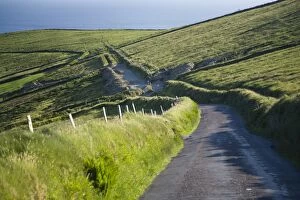 Images Dated 12th June 2008: Narrow roads passing through the verdant Irish countryside in County Kerry
