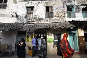 Images Dated 28th December 2008: The narrow streets of Lamu Town, Lamu, Kenya, East Africa, Africa