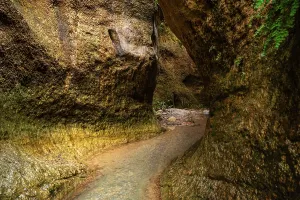 Channel Prints: Narrow water channel flows between moss-covered canyon walls in Granada