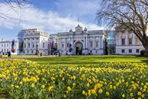Greenwich Prints: National Maritime Museum on a spring day with blue skies and daffodils