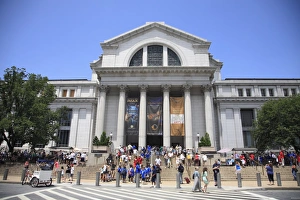 Natural History Prints: National Museum of Natural History, Washington D. C. United States of America