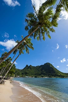 American Samoa Prints: National Park of American Samoa, Tutuila Island, American Samoa, South Pacific, Pacific