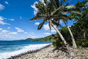 National Park of American Samoa, Tutuila Island, American Samoa, South Pacific, Pacific