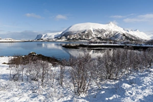Jagged Prints: Along the National Tourist Road, Lofoten Islands, Arctic, Norway, Scandinavia, Europe