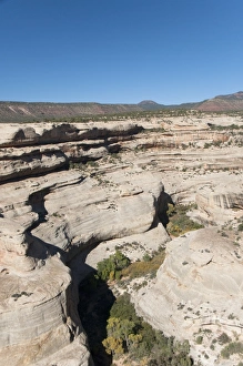 Natural Bridges National Monument, Utah, United States of America, North America