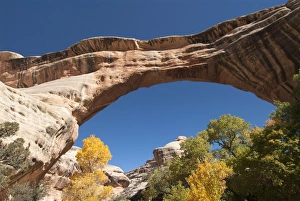 Natural Bridges National Monument, Utah, United States of America, North America