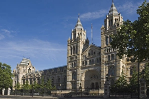 Natural History Museum Prints: The Natural History Museum, London, England, United Kingdom, Europe