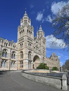Venue Prints: Natural History Museum, London, United Kingdom