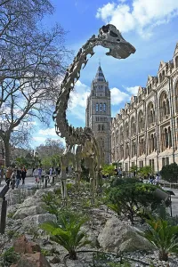 Exhibition Prints: Natural History Museum, London, United Kingdom