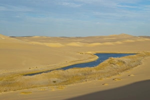 Images Dated 21st February 2007: Natural lake in the Sahara near the oasis of Siwa, Western Egypt, North Africa, Africa