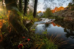 Norte Prints: Natural landscape with red mushrooms with waterfall and water reflection at sunset in