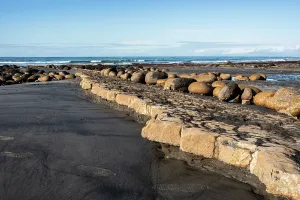 Zealand Prints: Natural rock formation along the rugged coastline at Cape Foulwind near Westport on South Island in New Zealand