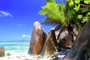 Relax Prints: Natural rock formations and palm trees by the shore in Seychelles under a clear sky
