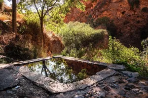Granada Prints: Natural stone pool reflecting canyon walls and trees near Durcal in Granada