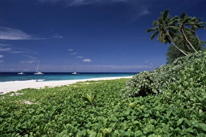 Wonderful Prints: Nature reserve and beach