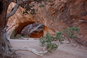 Rock Arch Prints: Navajo Arch, Arches National Park, Utah, United States of America, North America