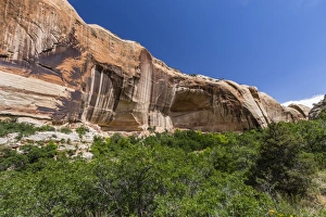 Navajo sandstone in Lower Calf Creek Falls Trail, Grand Staircase-Escalante National Monument