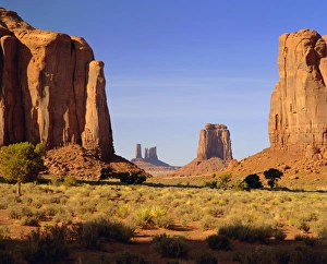 Navajo Prints: Navajo Tribal Reservation