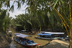 Mekong Delta Prints: Navigating the waterways amid coconut palm trees