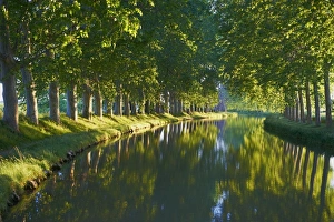 Aude Prints: Navigation on the Canal du Midi