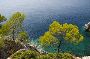 Images Dated 2nd September 2008: Near Agnotas, Skopelos, Sporades Islands, Greek Islands, Greece, Europe