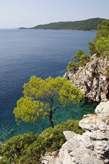 Images Dated 2nd September 2008: Near Agnotas, Skopelos, Sporades Islands, Greek Islands, Greece, Europe