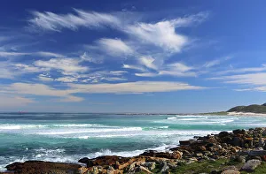 Cape Province Prints: Near Cape of Good Hope, Cape Province, South Africa, Africa