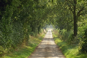 Rural Roads Prints: Near Cheltenham, Gloucestershire, England, United Kingdom, Europe