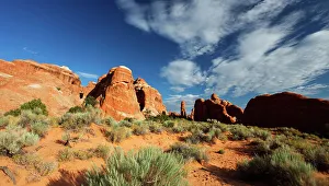 Near Devil's Garden, Arches National Park, Utah, United States of America, North America
