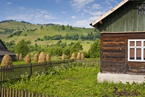 Stooks Prints: Near Guru Humurului, Bucovina, Romania, Europe