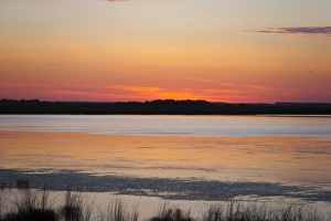 Images Dated 14th June 2009: Near Tulcea, Danube River delta, Romania, Europe