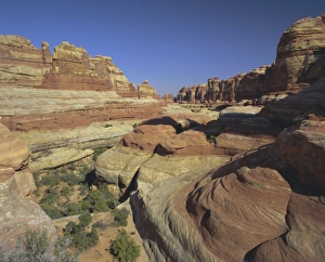 Canyonlands Prints: The Needles