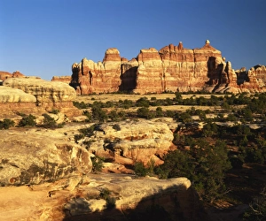 Canyonlands Prints: The Needles in Chesler Park