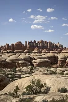 Images Dated 27th April 2006: Needles near Elephant Hill, Canyonlands National Park (Needles District)