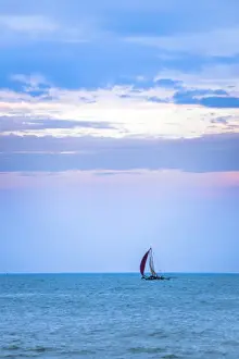 Negombo Prints: Negombo, traditional outrigger fishing boat (oruva) returning at sunrise to Negombo fishing market