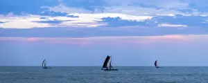 Negombo Prints: Negombo, traditional outrigger fishing boats (oruva) returning at sunrise to Negombo fishing market