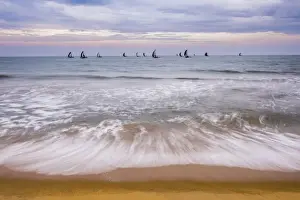 Negombo, traditional outrigger fishing boats (oruva) returning at sunrise to Negombo fishing market, Sri Lanka, Asia
