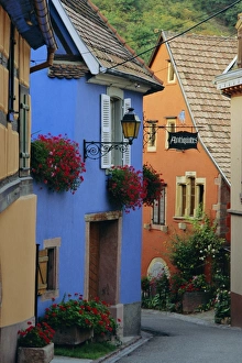 Hanging Basket Prints: Neider Morschwir, Alsace, France, Europe