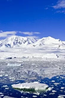 Images Dated 27th January 2005: Neko Cove (Harboor), Antarctica, Polar Regions