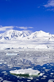Images Dated 27th January 2005: Neko Cove (Harboor), Antarctica, Polar Regions