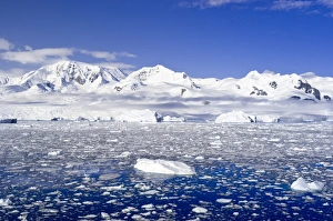 Images Dated 27th January 2005: Neko Cove (Harboor), Antarctica, Polar Regions