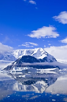 Images Dated 27th January 2005: Neko Cove (Harboor), Antarctica, Polar Regions