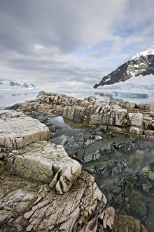 South Pole Prints: Neko Harbor, Antarctic Peninsula, Antarctica, Polar Regions