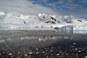 Neko Prints: Neko Harbor, Antarctica, Polar Regions