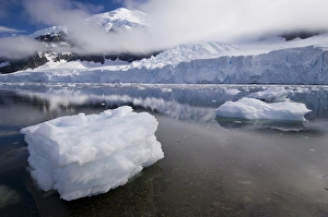 Awe Inspiring Prints: Neko Harbor, Gerlache Strait, Antarctic Peninsula, Antarctica, Polar Regions