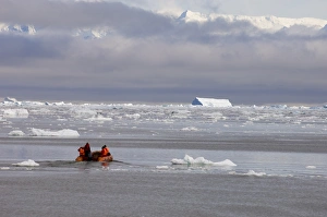 Neko Harbor, Gerlache Strait, Antarctic Peninsula, Antarctica, Polar Regions