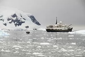 Images Dated 21st February 2009: Neko Harbour, Antarctic Peninsula, Antarctica, Polar Regions