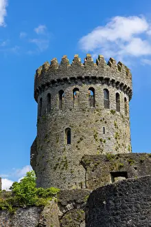 Tall Prints: Nenagh Castle, Nenagh, Tipperary, Ireland